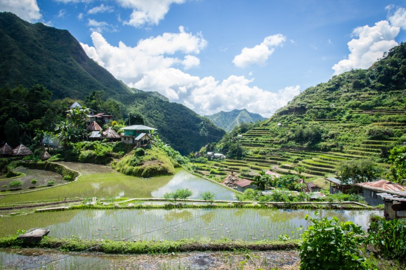 層層疊疊綠色的梯田風景圖片