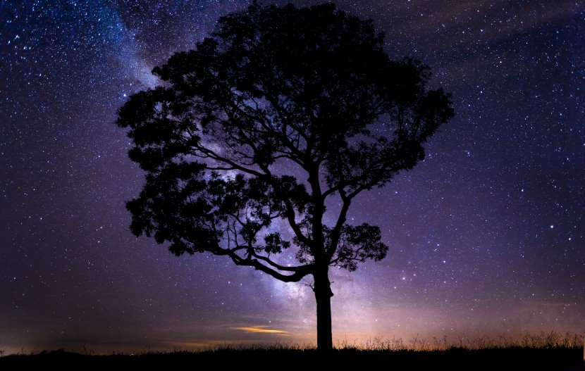 黑色夜幕下璀璨的星空風景圖片