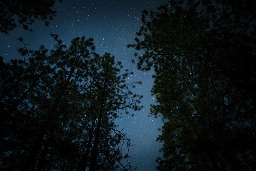 群星璀璨的夜空圖片