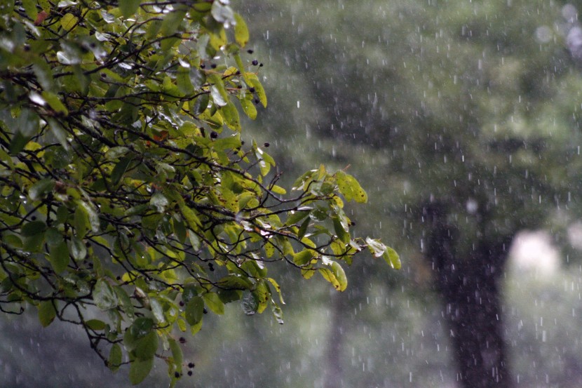 傾盆的大雨圖片