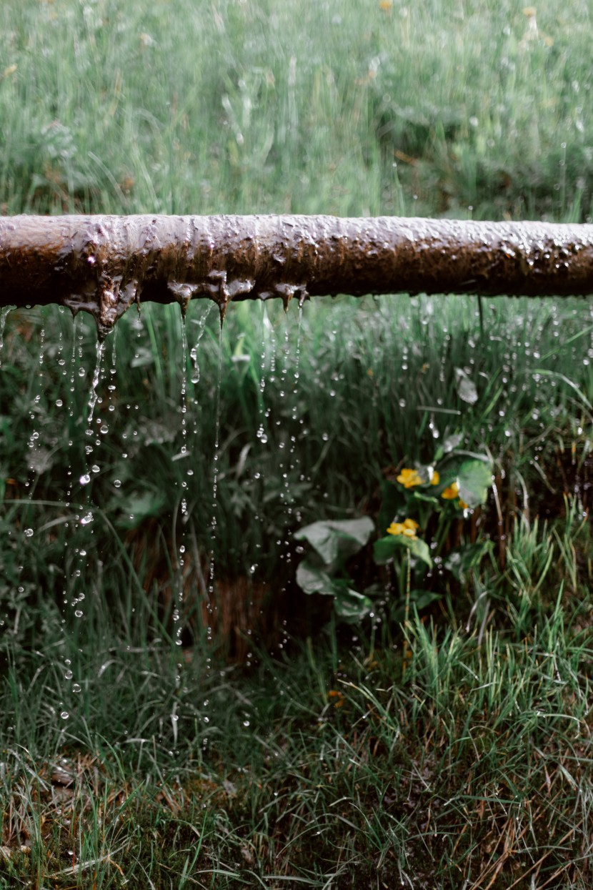 滂沱的大雨圖片