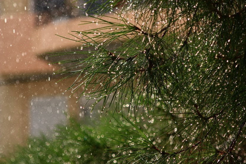 滂沱的大雨圖片