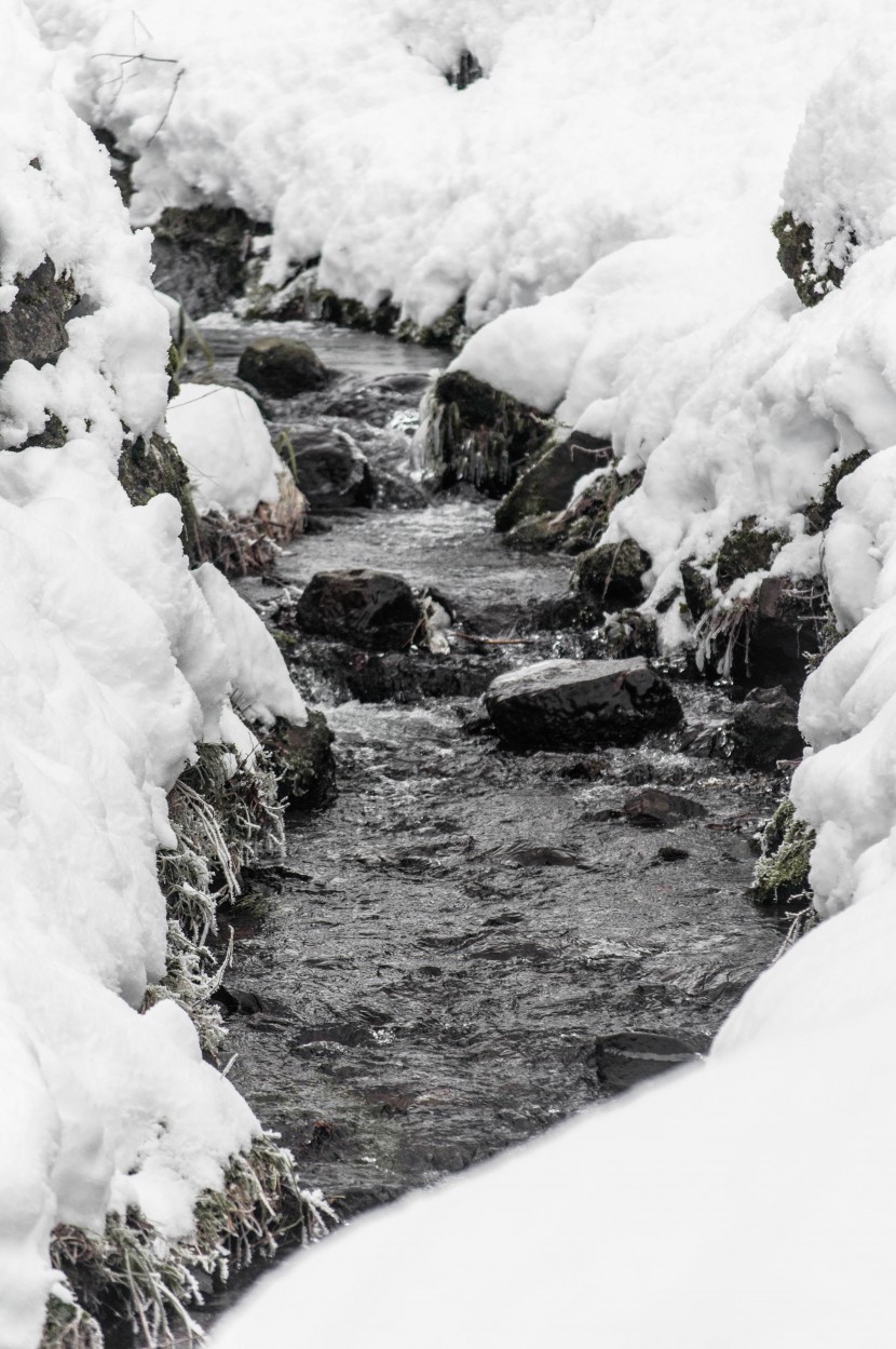 冬季冰雪下的河流圖片