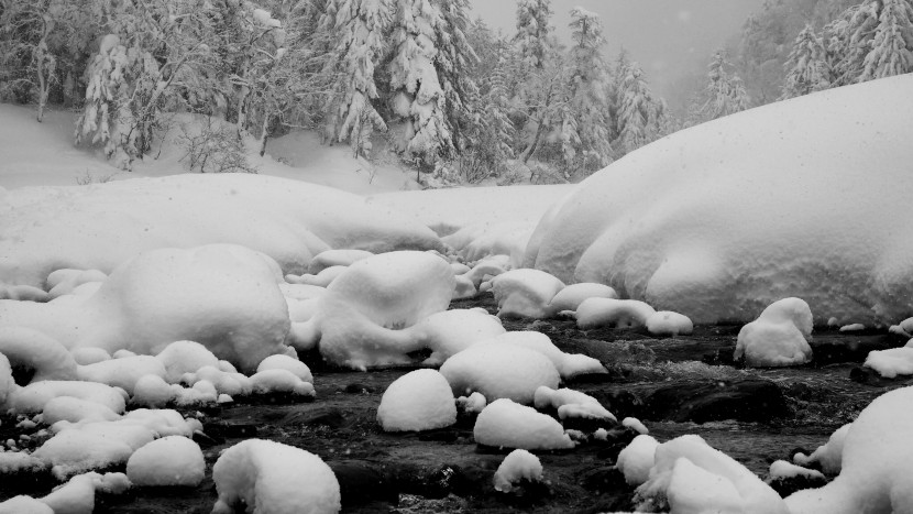 冬季冰雪下的河流圖片
