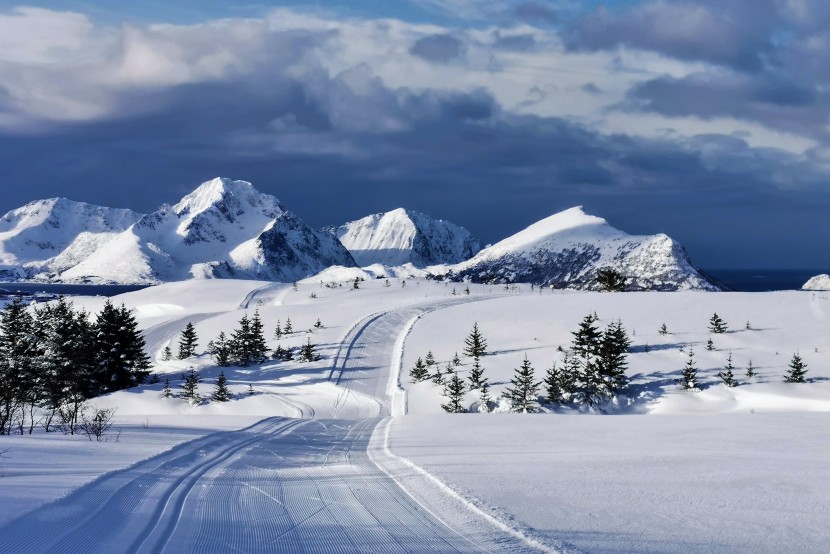 白雪皚皚的冬季景色圖片