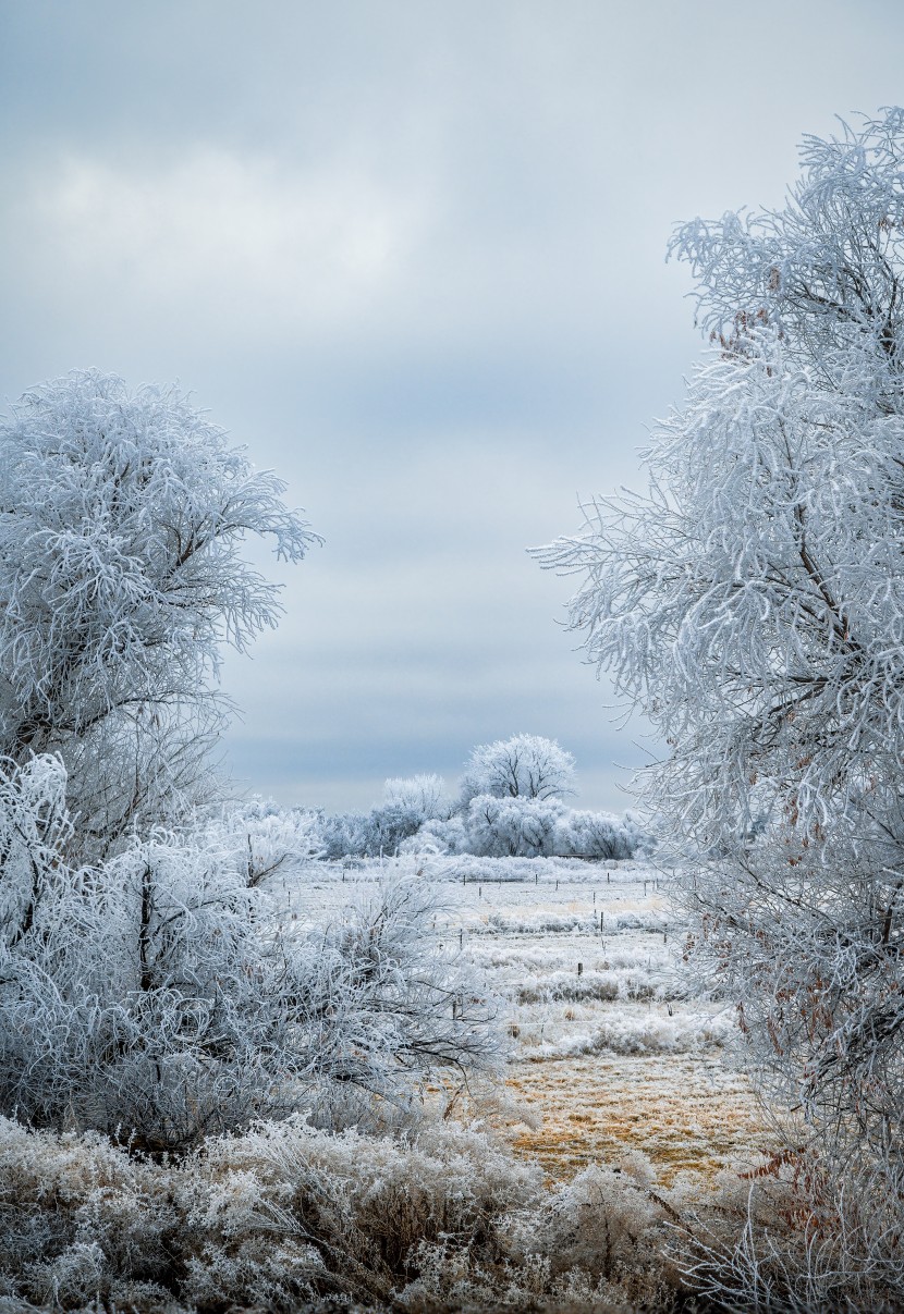 白雪皚皚的冬季景色圖片