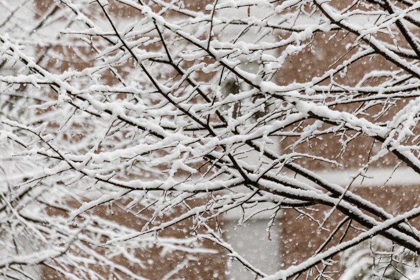 白茫茫的冬季雪景圖片