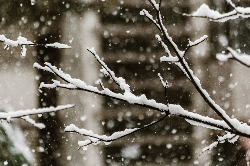 白茫茫的冬季雪景圖片