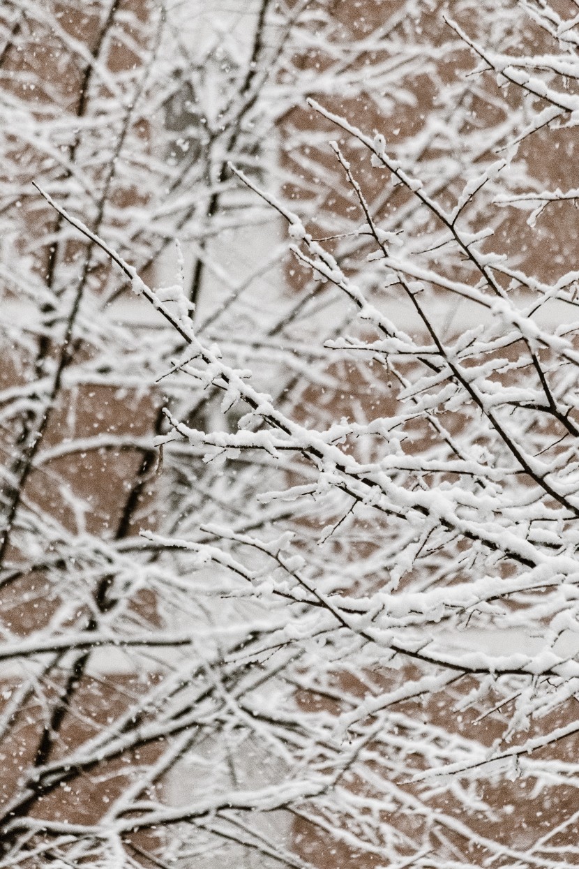 白茫茫的冬季雪景圖片