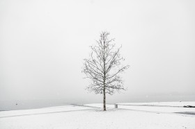 白茫茫的冬季雪景圖片