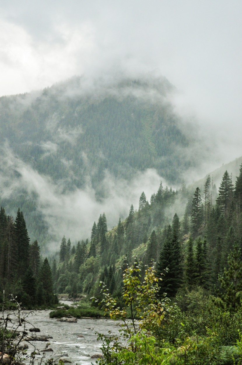 雲霧缭繞的高山風景圖片