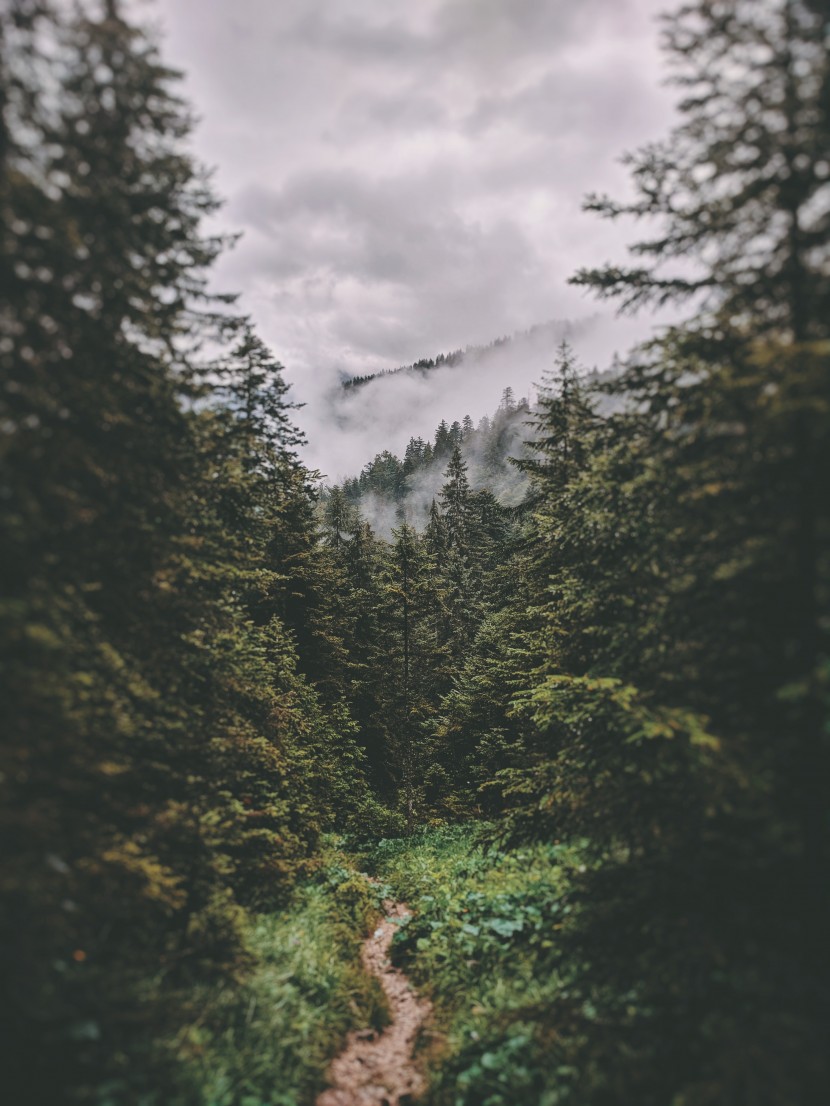 雲霧缭繞的高山風景圖片