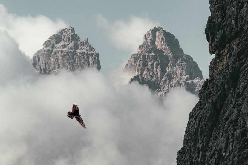 雲霧缭繞的高山風景圖片