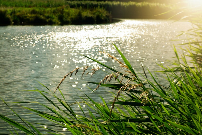 蜿蜒流淌的河流圖片