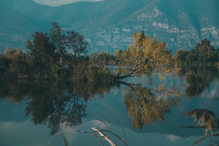 平靜的湖水圖片