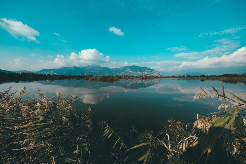 平靜的湖水圖片