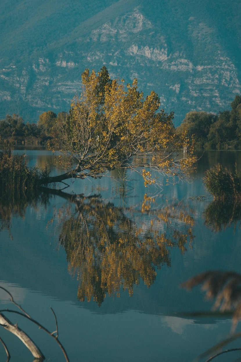 平靜的湖水圖片