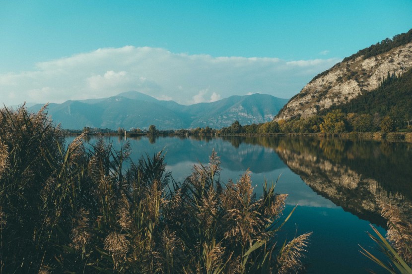 平靜的湖水圖片