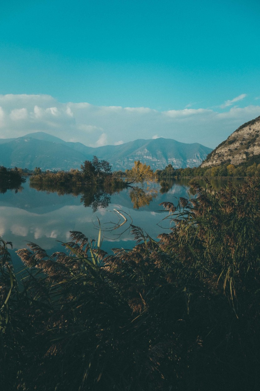 平靜的湖水圖片