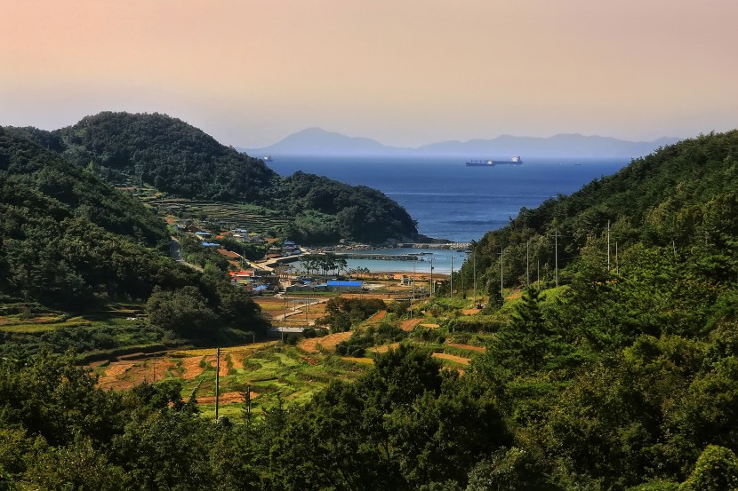 層層疊疊綠色的梯田風景圖片