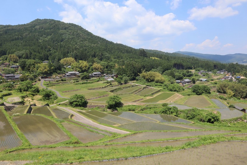 層層疊疊的梯田圖片