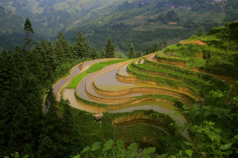 層層疊疊的梯田圖片