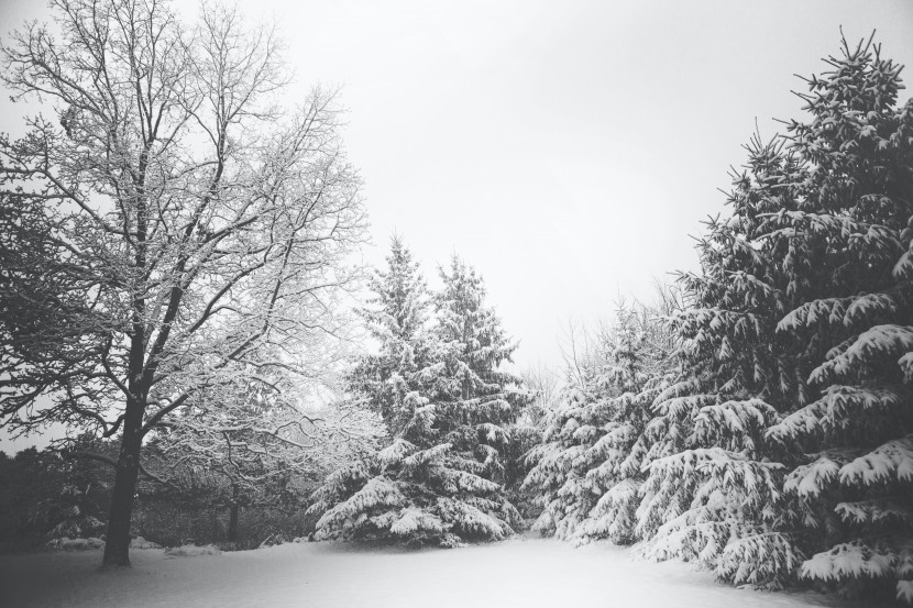 白雪皚皚的世界圖片