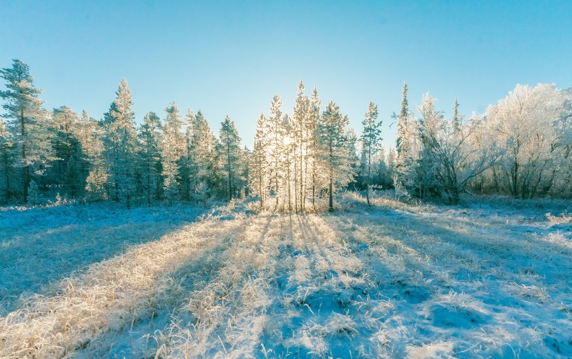 白雪皚皚的世界圖片