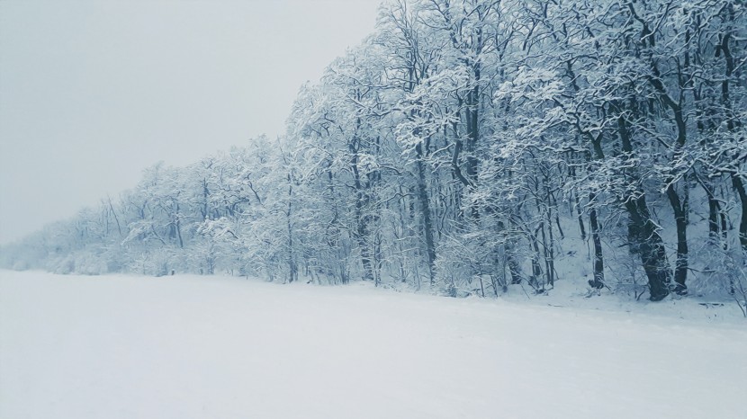 白雪皚皚的世界圖片