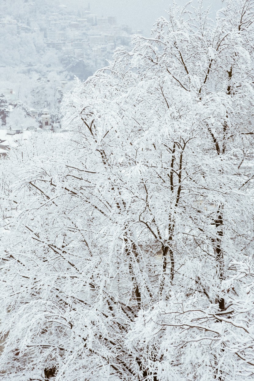 白雪皚皚的世界圖片