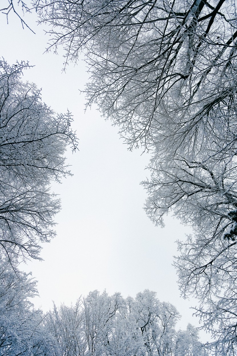 白雪皚皚的世界圖片