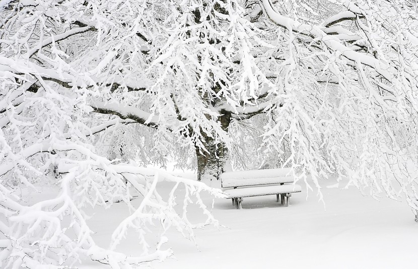 白雪皚皚的世界圖片