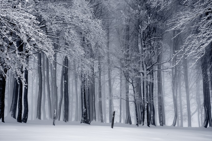 白雪皚皚的世界圖片