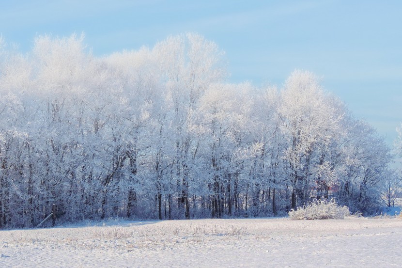 白雪皚皚的世界圖片