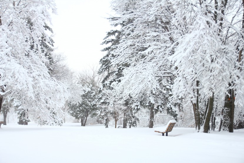 白雪皚皚的世界圖片