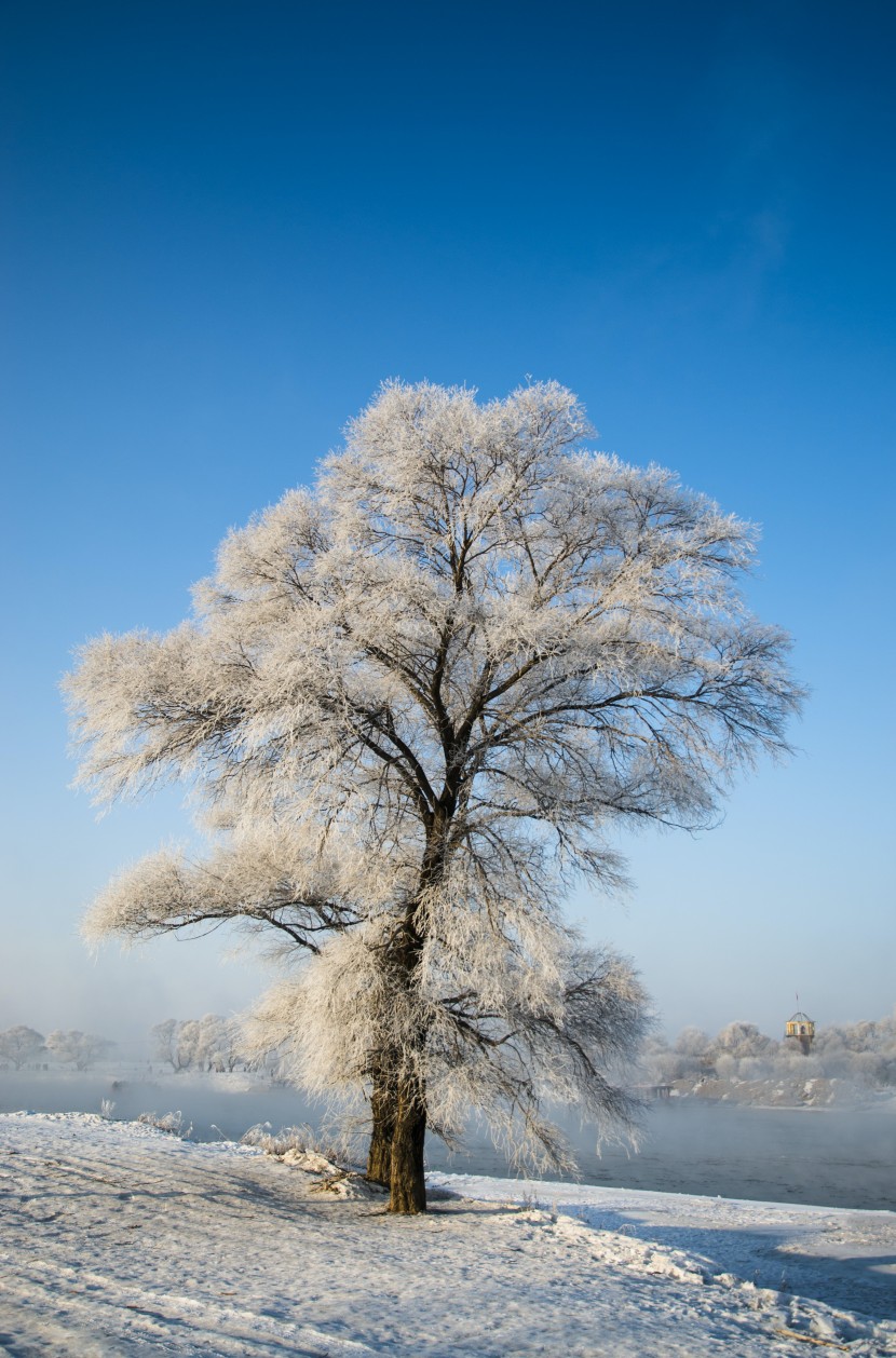 白雪皚皚的世界圖片