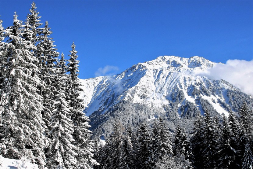 巍峨的雪山風景圖片