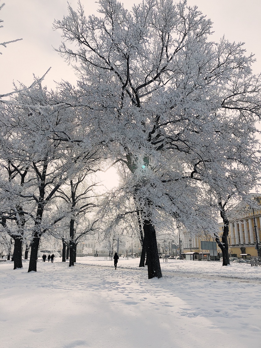 冰雪景色圖片