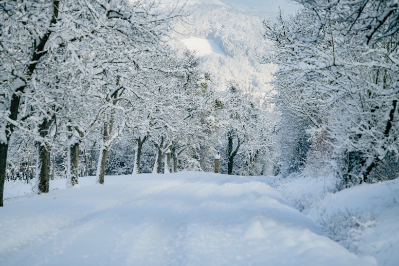 冰雪景色圖片