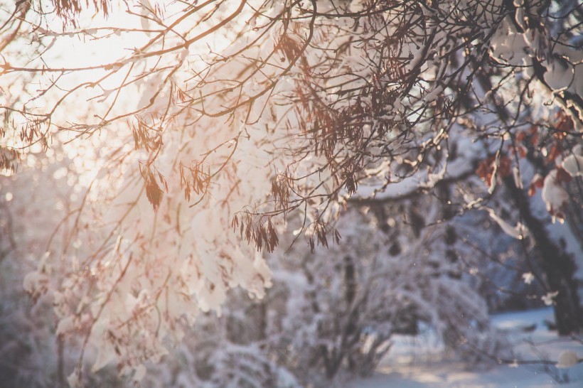 冰雪景色圖片