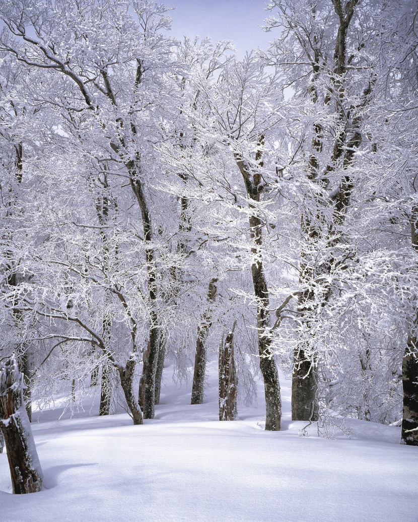 冰雪景色圖片