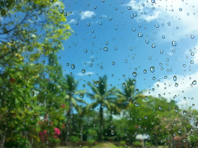 落在玻璃上的雨滴圖片