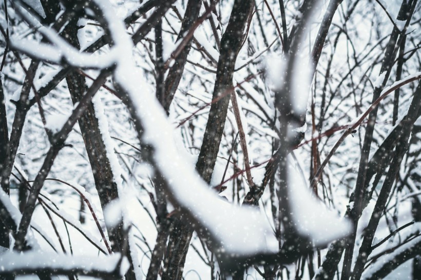 冬季冰雪景色圖片