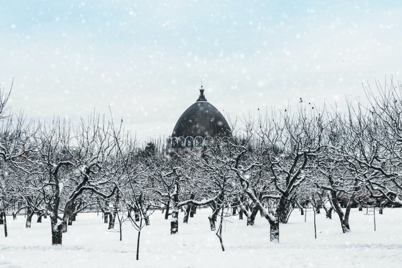 冬季冰雪景色圖片