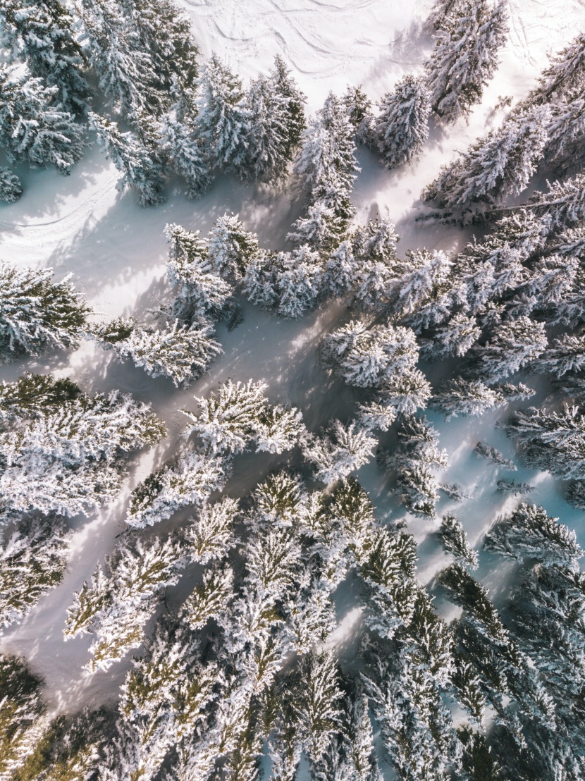 冬季雪原圖片