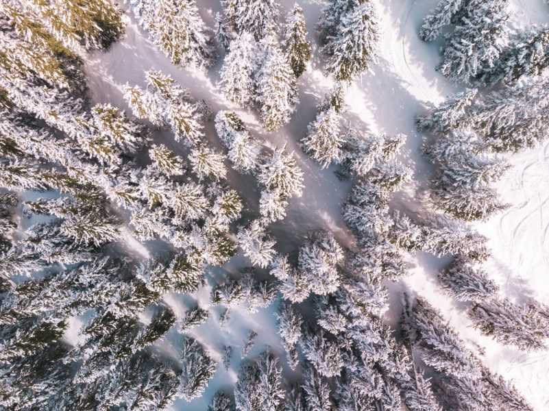 冬季雪原圖片