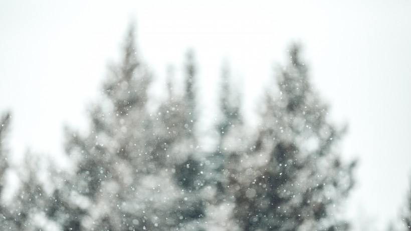 紛紛揚揚的雪花圖片