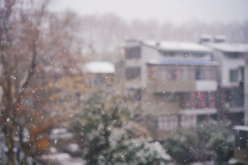 紛紛揚揚的雪花圖片