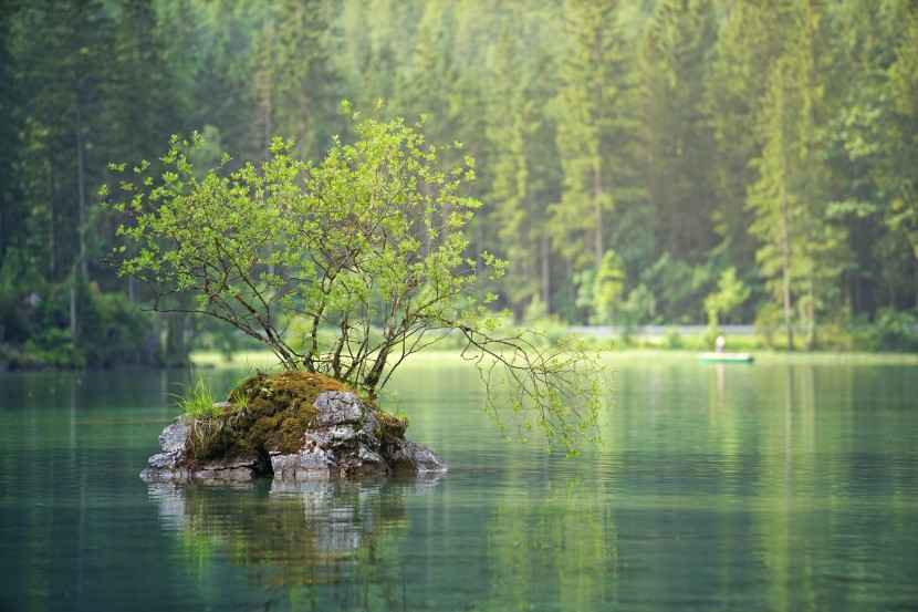平靜的湖水風景圖片