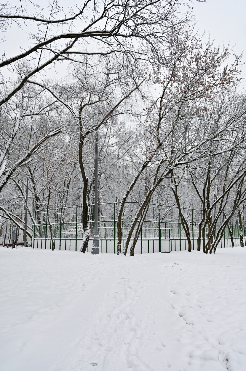 白雪皚皚的冬季圖片